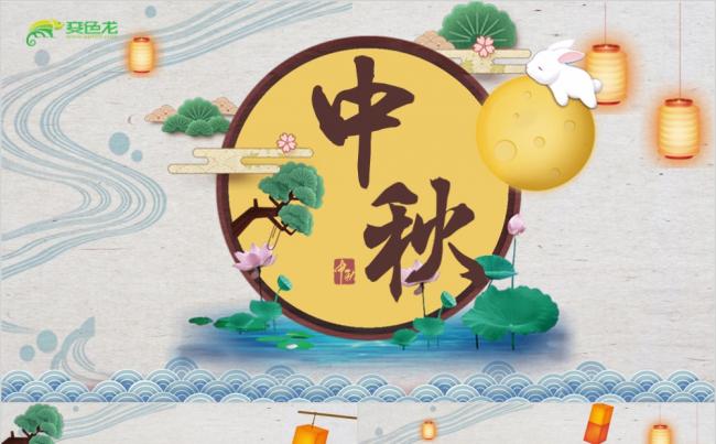 简约中国风中秋节节日宣传活动策划PPT模板缩略图