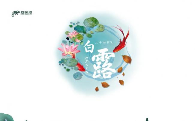 中国风白露二十四节气主题班会课件PPT模板缩略图