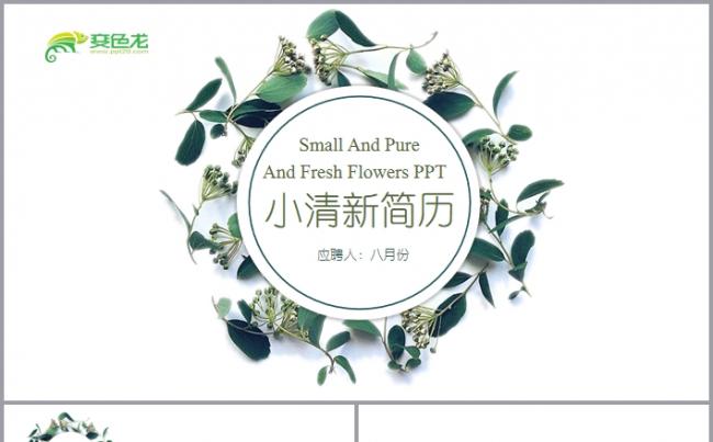 小清新时尚个人求职简历PPT模板缩略图