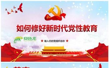 如何修好新时代党性教育党课学习PPT模板缩略图