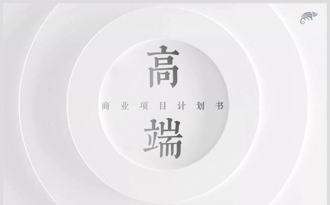 黑白极简高端商业项目计划书商务策划PPT模板缩略图