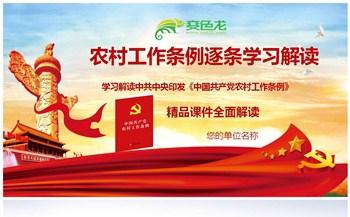 中国共产党农村工作条例逐条解读党政党课PPT模板缩略图