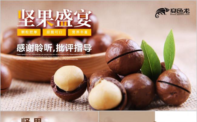 简约风休闲美食美味坚果干果产品推广宣传画册PPT模板缩略图