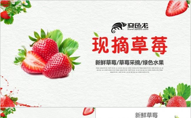 绿色水果农产品种植基地草莓种植草莓采摘工作通用PPT模板缩略图