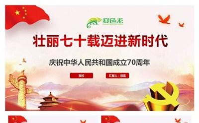 壮丽70载迈进新时代建国70周年活动策划总结PPT模板缩略图