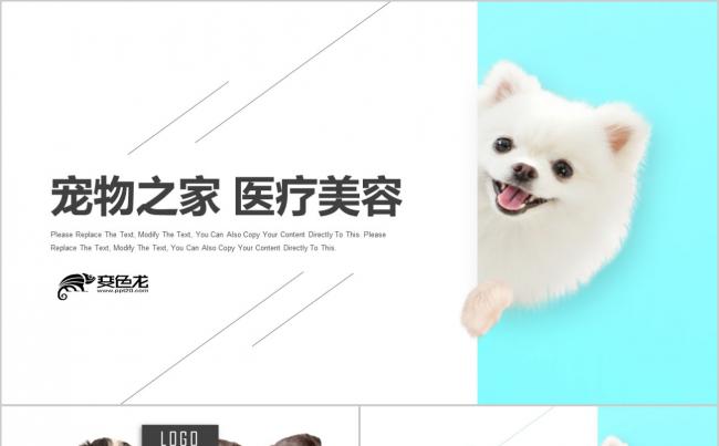 可爱小清新宠物之家宠物医疗美容PPT模板缩略图