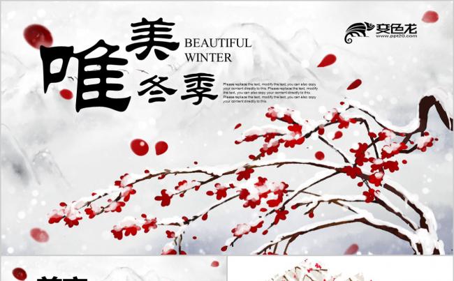 唯美冬季立冬冰雪旅游寒假生活冬季旅游工作通用PPT模板缩略图