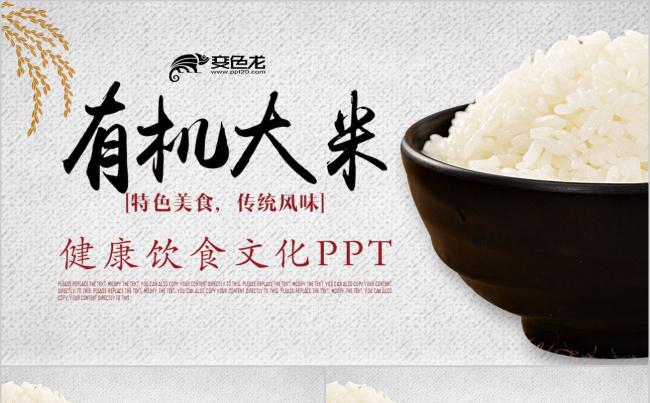 精美大气有机绿色稻田水稻大米农业丰收PPT模板缩略图