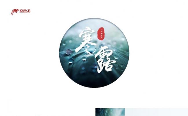 简约大气二十四节气寒露班会解读课件PPT模板缩略图