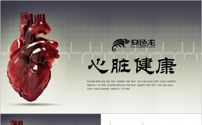 关爱心脏疾病医药医学研究心脏健康心脏疾病PPT模板缩略图