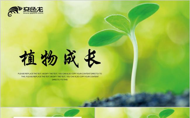 清新微粒体植物生长敬畏生命嫩芽培育ppt模板缩略图