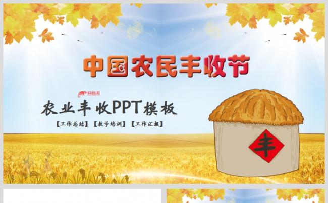 农民丰收节实施乡村振兴工作总结汇报教学培训PPT模板缩略图