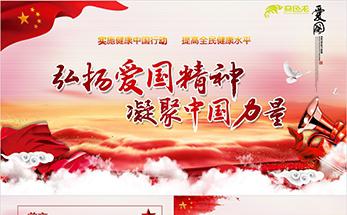 弘扬爱国精神凝聚中国力量党政学习PPT模板缩略图
