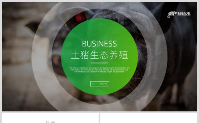 简约创意时尚土猪生态养殖工作总结汇报PPT模板缩略图