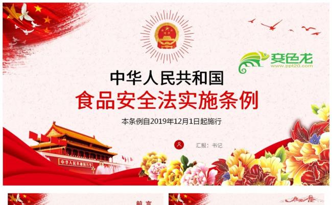 红色简洁风食品安全法实施条例全面解读PPT模板缩略图