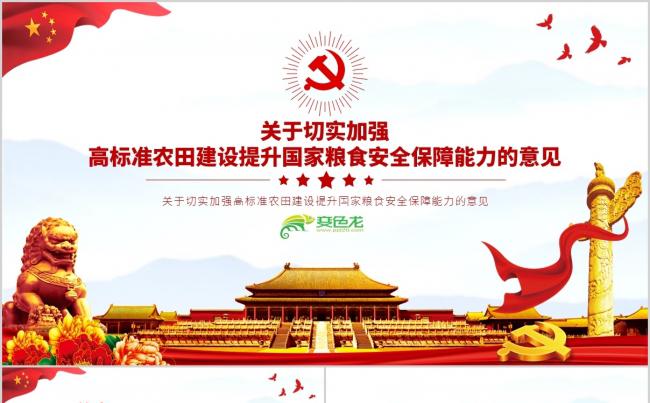 关于提升国家粮食安全保障能力的意见详细解读PPT模板缩略图