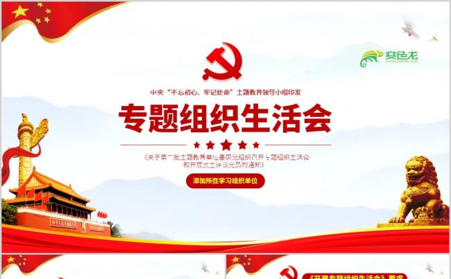 党政风简洁专题组织生活会党课学习PPT模板缩略图