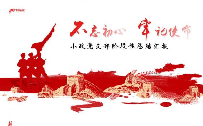 不忘初心牢记使命党支部阶段工作总结汇报PPT模板缩略图