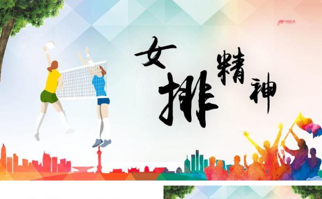 简约风创新党课女排精神教学课件PPT模板缩略图