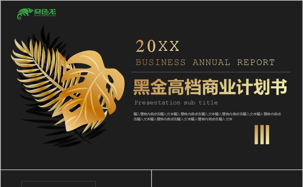 黑金大气商业融资计划书工作总结PPT模板缩略图