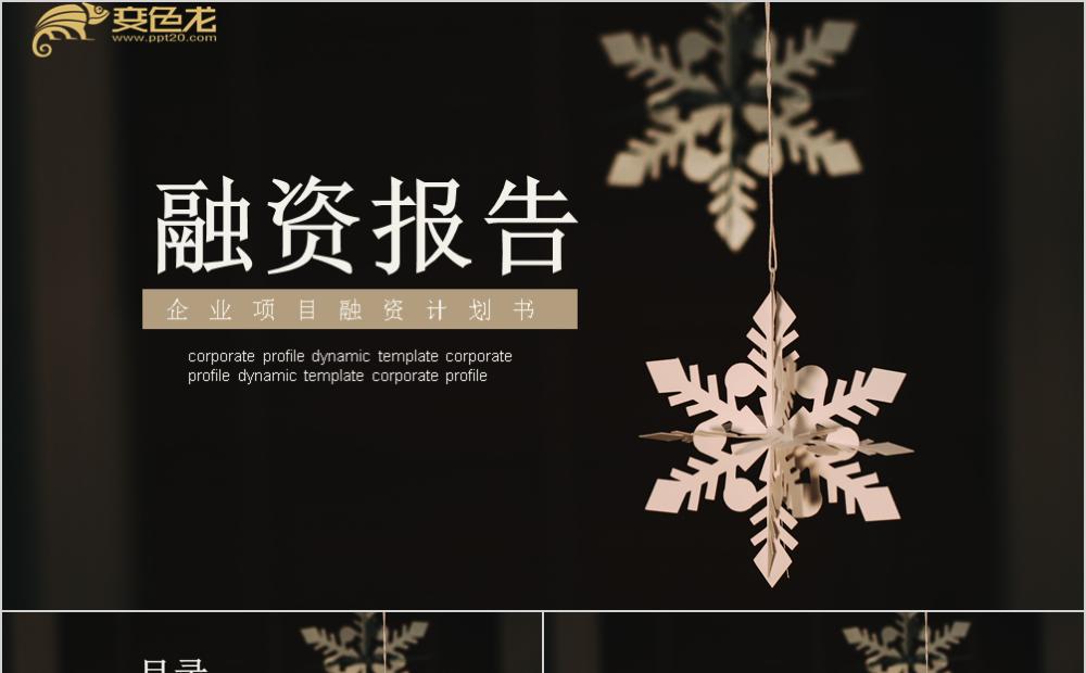 黑色高级感企业项目融资计划PPT模板缩略图