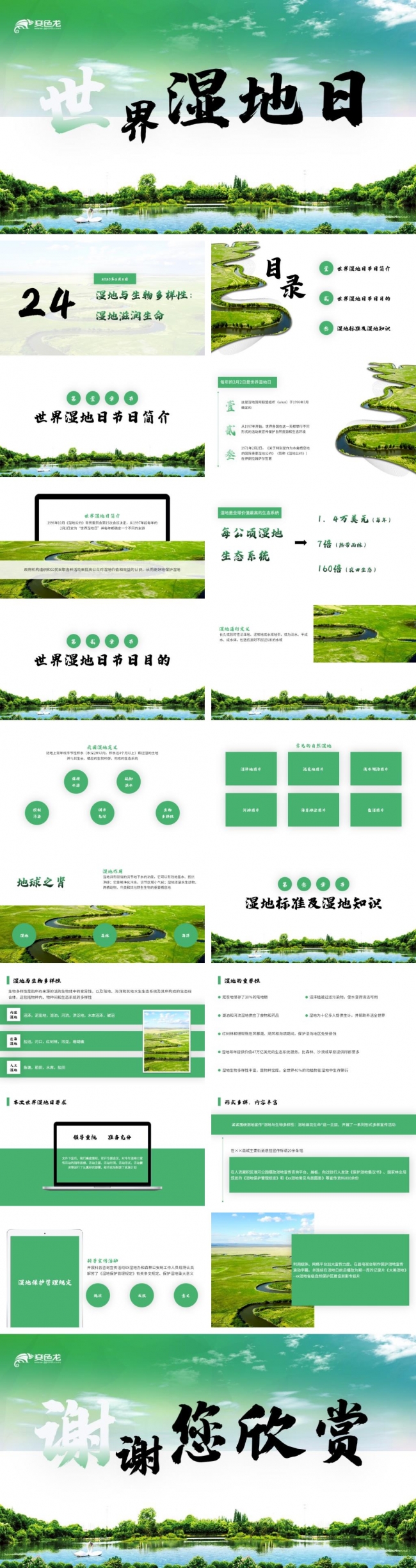 绿色商务动态世界湿地日教学ppt模板
