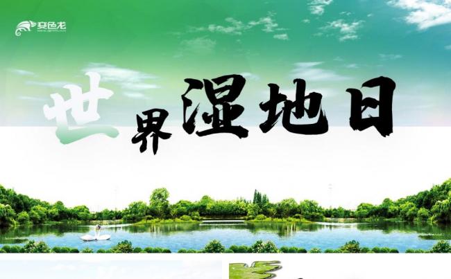 绿色商务动态世界湿地日教学ppt模板缩略图