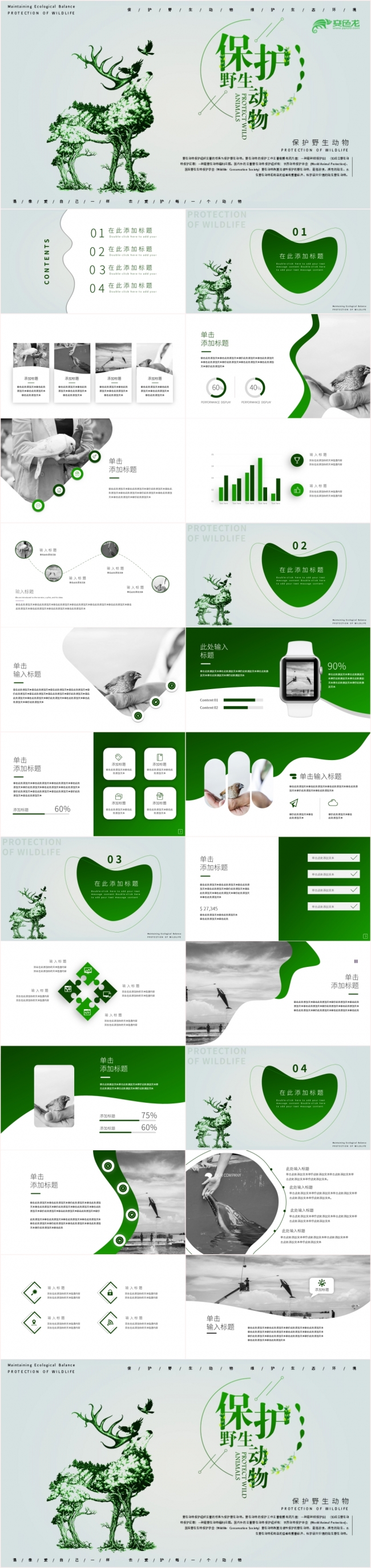 【星月设计】简约绿色保护野生动物知识宣传PPT模板