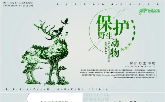 【星月设计】简约绿色保护野生动物知识宣传PPT模板缩略图