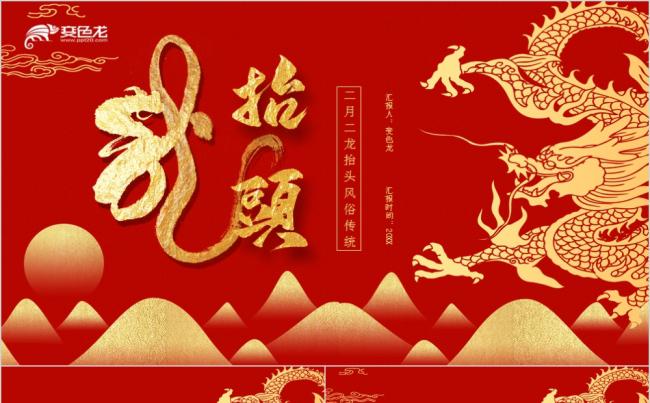 传统节日二月二龙抬头风俗汇报PPT模板缩略图