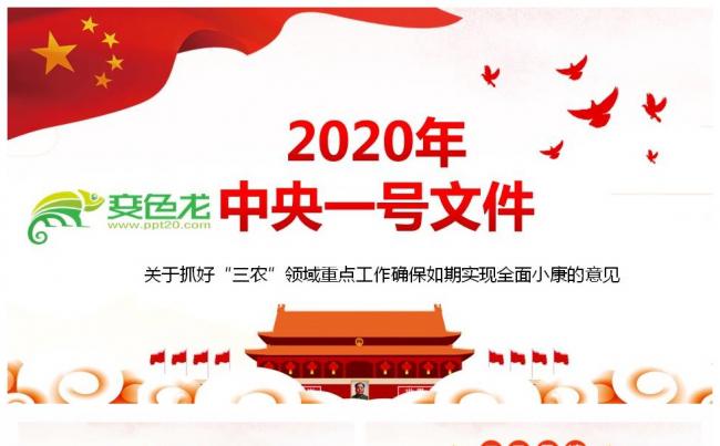 2020年中央一号文件全面解读培训PPT模板缩略图