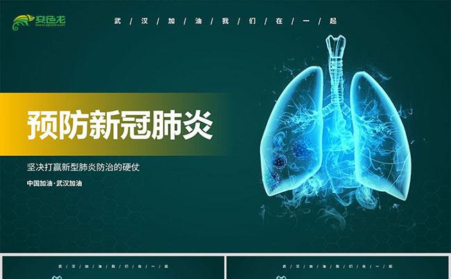 武汉加油肺炎疫情防护新型肺炎宣传医疗PPT模板缩略图