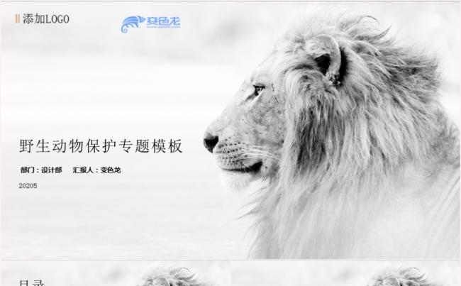 大气简约野生动物保护专题公益宣传PPT模板缩略图