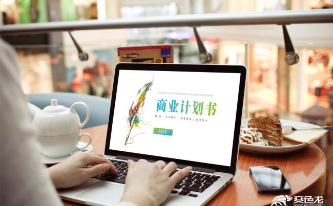 欧美简约商业计划书公司简介企业宣传商务PPT模板缩略图