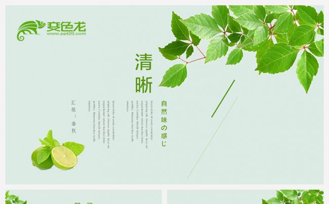 小清新文艺风计划总结工作演示通用PPT模板缩略图