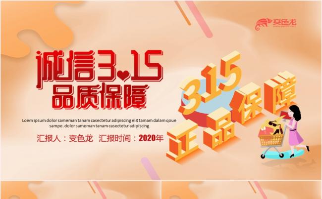 简约大方诚信315品质保障PPT模板缩略图