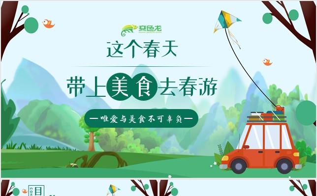 2020春天春游活动策划活动展示PPT模板缩略图