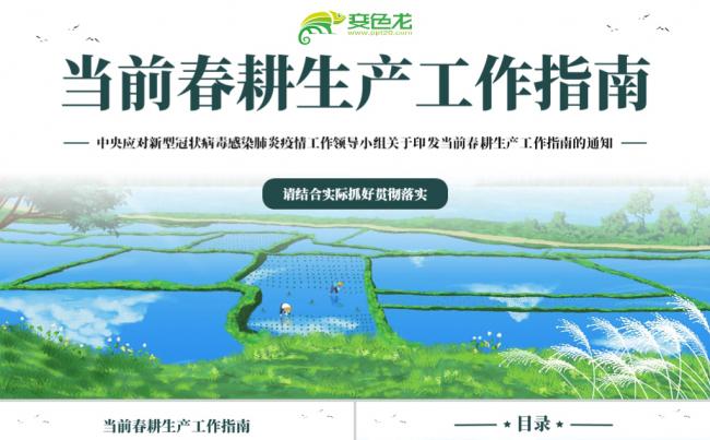 肺炎疫情当前春耕生产工作指南的通知学习解读PPT模板缩略图