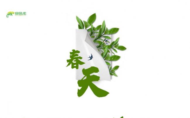 绿色极简清新春天春雨校园通用PPT模板缩略图