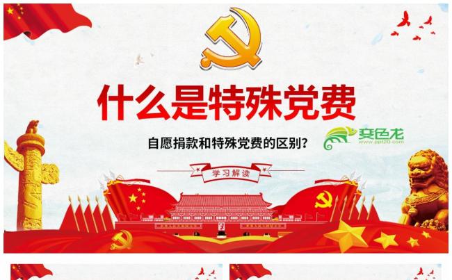 党政风关于什么是特殊党费学习解读PPT模板缩略图