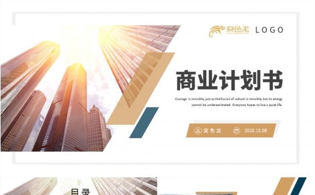 2020创意简洁商业计划书PPT模板缩略图