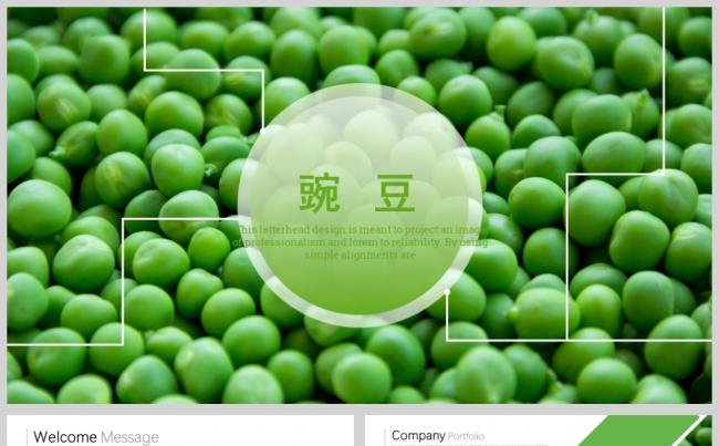 绿色唯美有机生态水果蔬菜工作总结汇报PPT模板缩略图