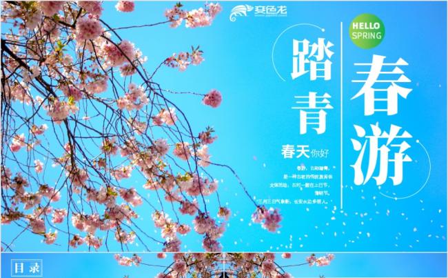 蓝色精美简约踏青春游活动策划PPT模板缩略图