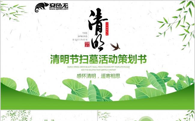 清明节清明踏青缅怀先烈扫墓活动策划书PPT模板缩略图
