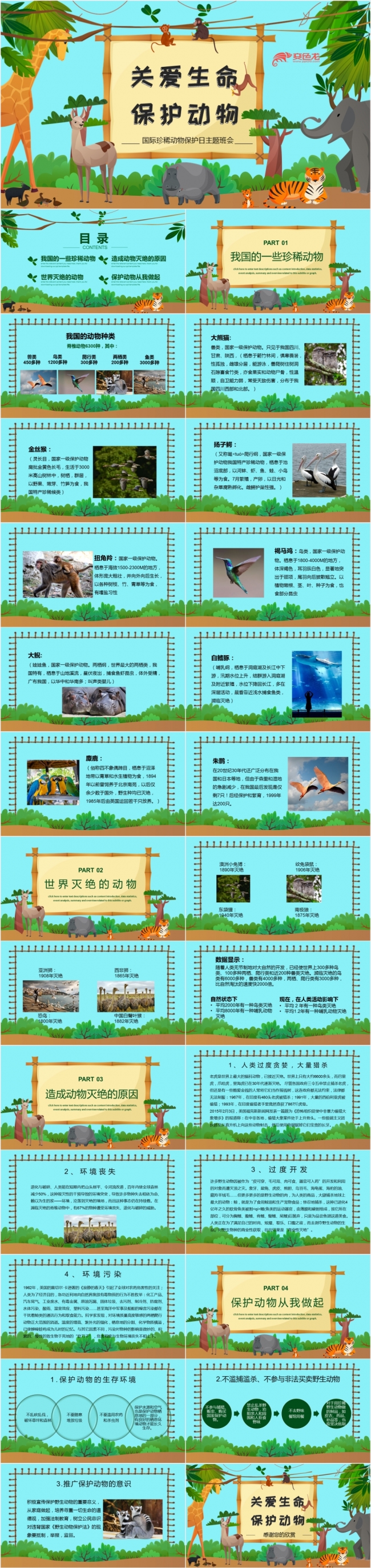 卡通动漫创意关爱生命保护动物PPT模板