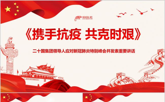 携手抗疫共克时艰g20峰会应对新冠肺炎重要讲话解读ppt模板缩略图
