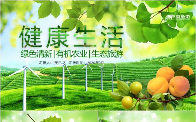 创意简约绿色健康生活有机农业总结ppt模板缩略图