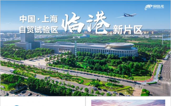 中国上海自由贸易试验区临港新片区PPT模板缩略图