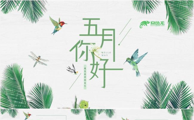 清新淡雅森系你好五月通用PPT模板缩略图