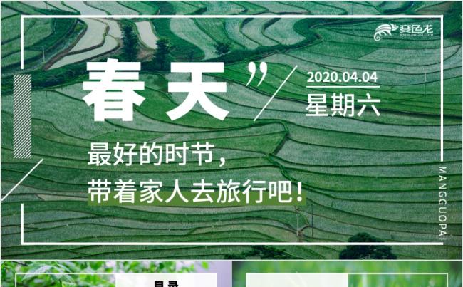 小清新春天出游活动策划PPT模板缩略图